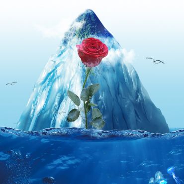 Jack And Rose Flavor