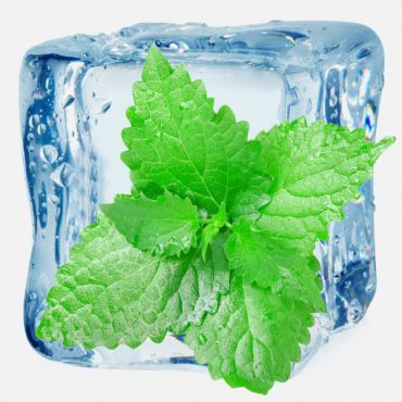 Ultra Menthol Flavor
