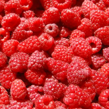 Raspberry Flavor