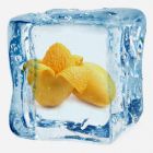 Mango Sorbet Flavor
