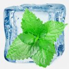 Ultra Menthol Flavor